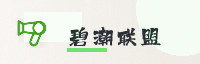合作伙伴